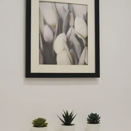 Chimeneas Apartament